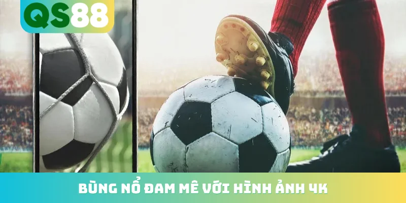 Thể Thao QS88 - Thăng Hoa Cảm Xúc Cùng Hàng Ngàn Trận Cầu