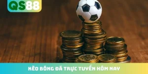 Tin tức - gaxo.run